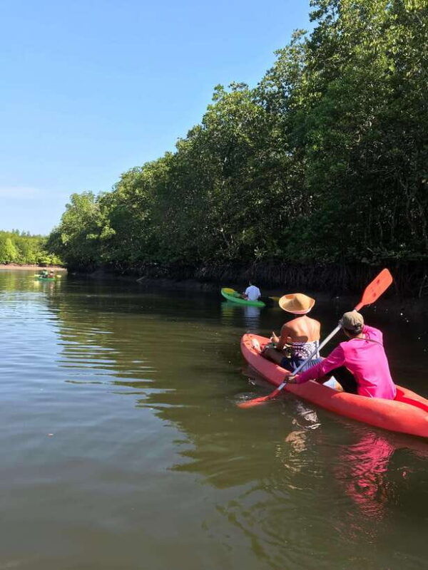 ko-lanta-half-day-mangrove-kayaking-tour-with-lunch