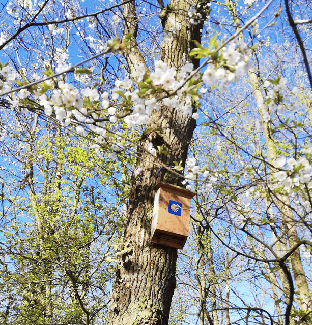 koblenz-the-living-vineyard-nature-wine-enjoyment