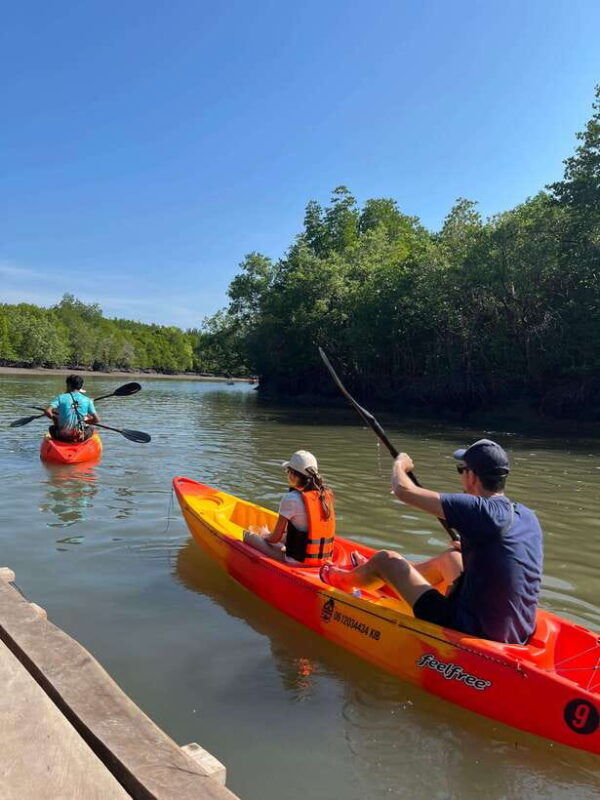 koh-lanta-amazon-mangrove-kayaking-tour-with-lunch