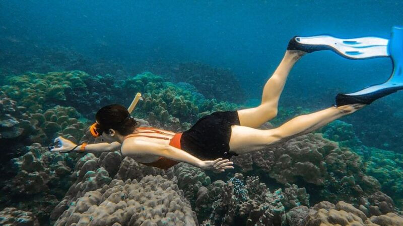 koh-lipe-longtail-boat-snorkeling-trip-with-lunch