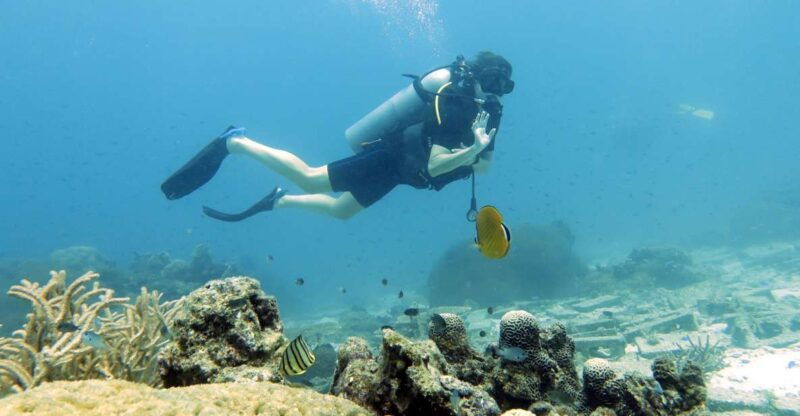 koh-samui-day-trip-diving-at-sail-rock