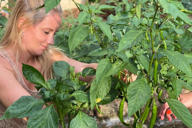 Koh Samui Jungle Kitchen - Evening Cooking Class - FAQs