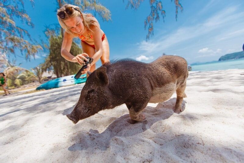 koh-samui-pig-island-private-longtail-boat-tour