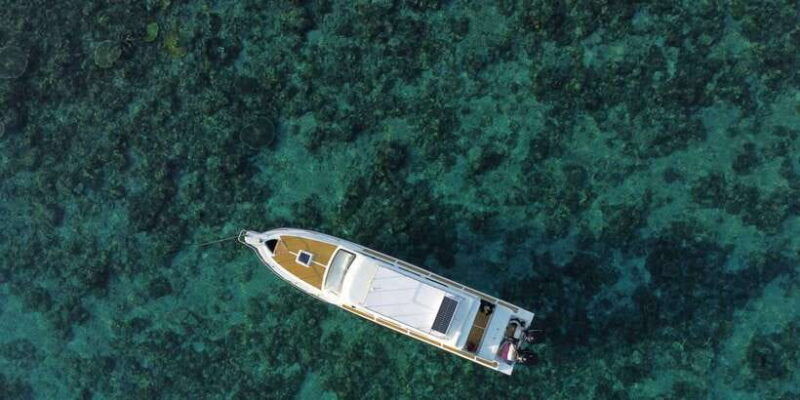 komodo-island-private-day-tour-by-speedboat