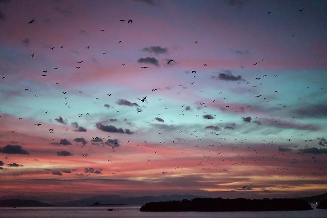 Komodo Private Boat tour 3Days 2 Night - What We Love About the Experience