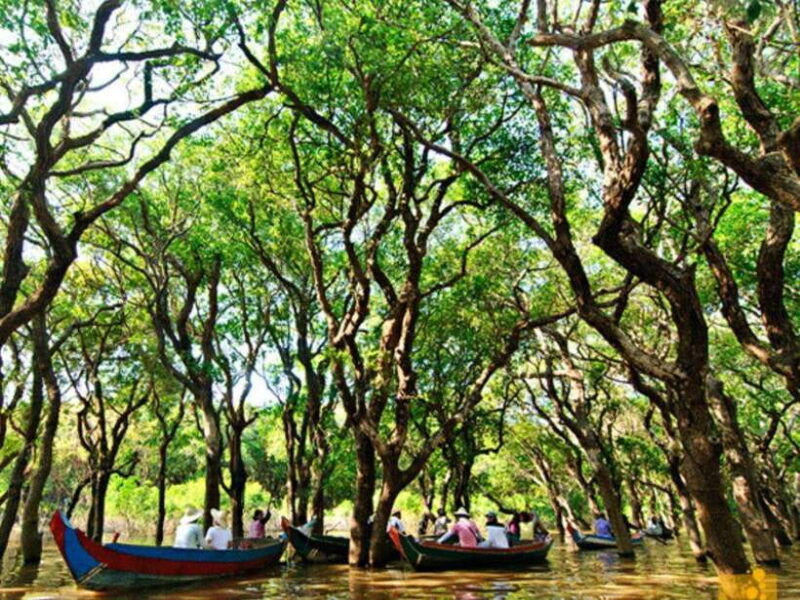 kompong-phluk-floating-village-mangrove-forest-cruise-tour