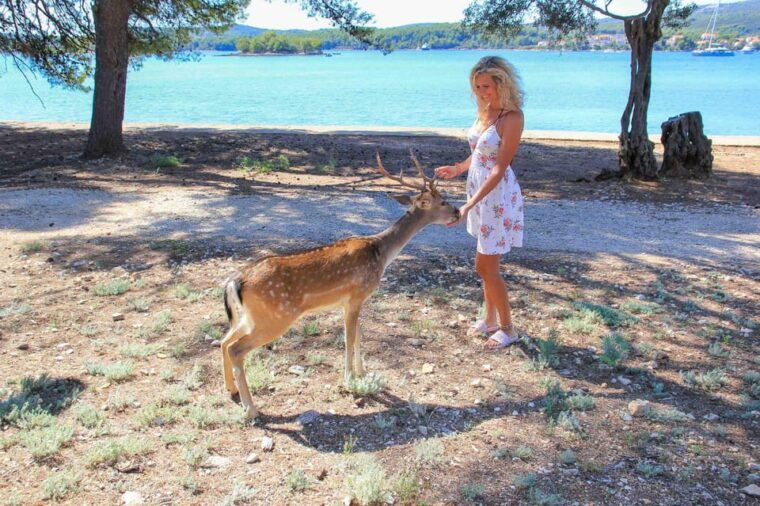 korcula-peljesac-badija-3-island-speedboat-tour-w-lunch