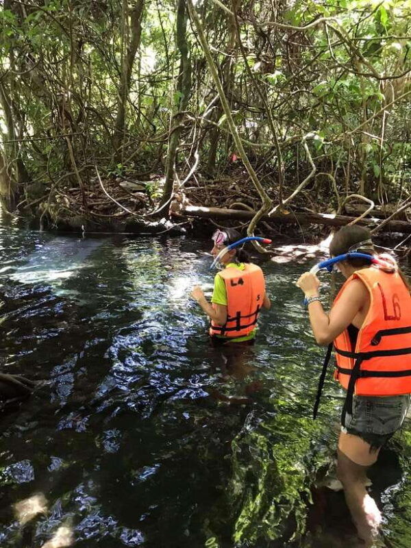 krabi-amazon-klong-srakaew-kayaking-with-lunch