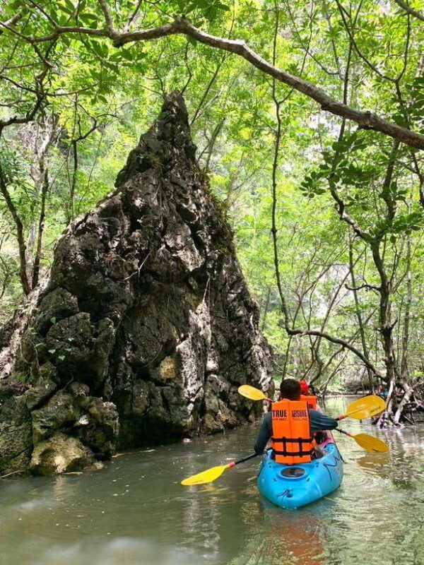 krabi-golden-hour-kayaking-in-din-daengs-mangrove-maze