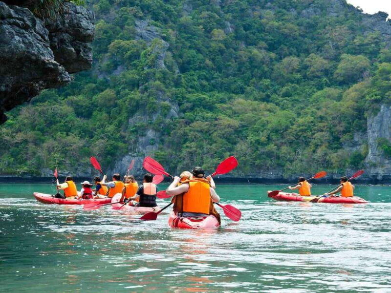 krabi-hidden-mangrove-kayaking-tour-with-optional-extras