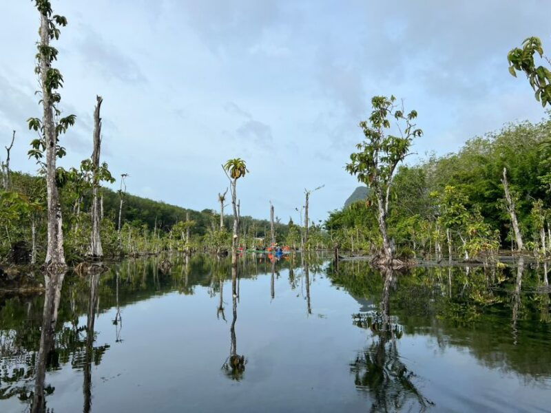 krabi-kayaking-at-klong-nam-sai-elephant-bathing-feeding