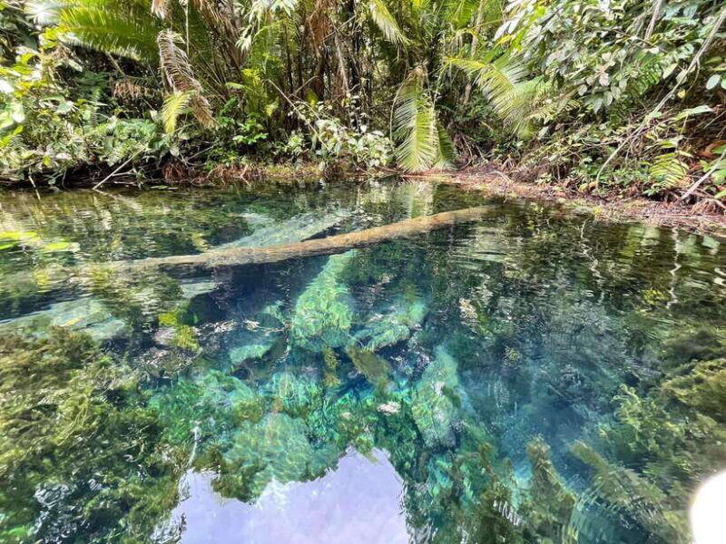 krabi-klong-root-crystal-lake-kayaking-tour