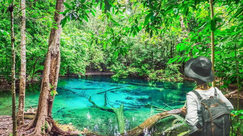 krabi-tiger-cave-temple-emerald-pool-and-hot-springs-tour-3