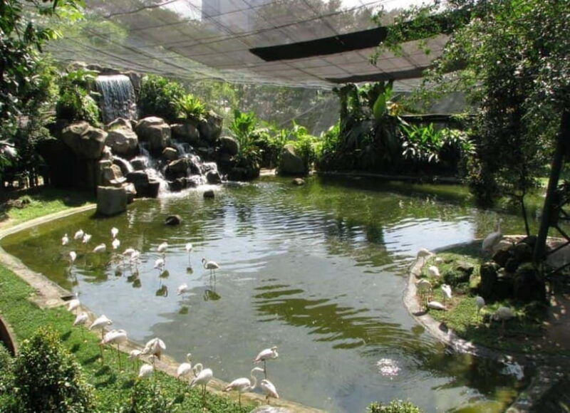 kuala-lumpur-bird-park-butterfly-garden-private-tour