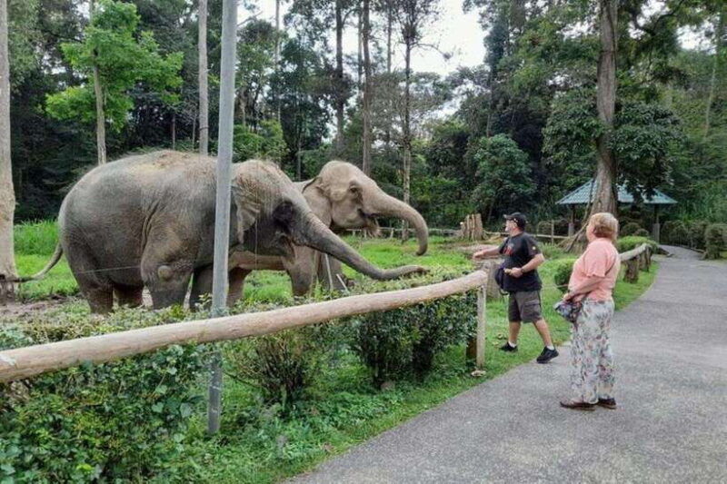 kuala-lumpur-kuala-gandah-and-batu-caves-private-trip