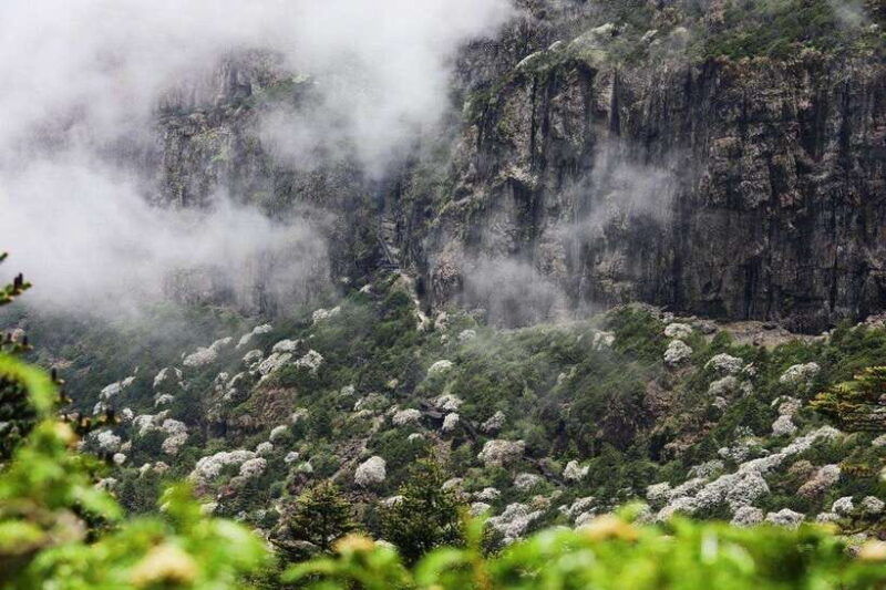 kunming-jiaozi-sedan-chair-snow-mountain-hiking-day-trip
