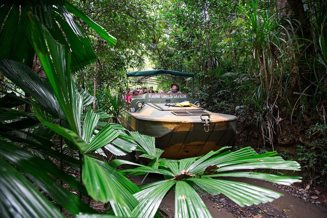 Kuranda Village, Army Duck Tour with Train and Skyrail (KDB) - The Experience: What Youll Feel and See
