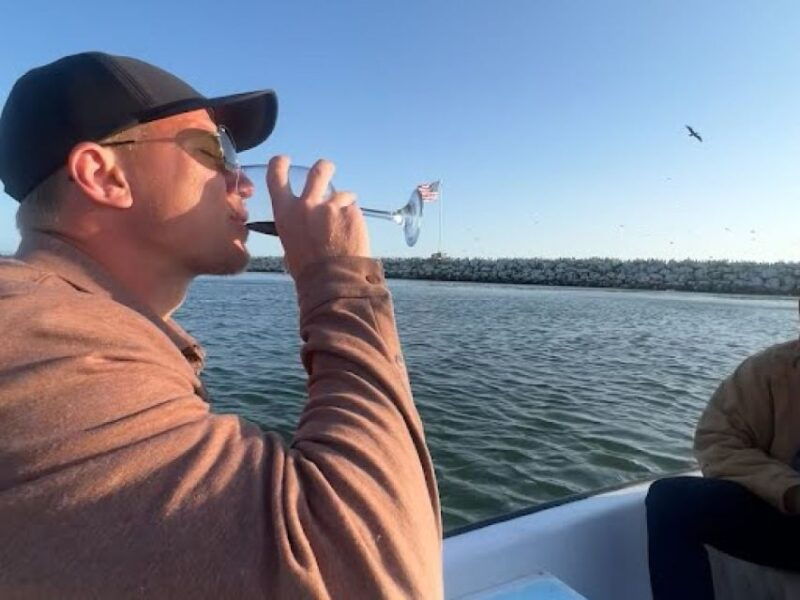 la-marina-del-rey-sea-lion-boat-tour-with-byob