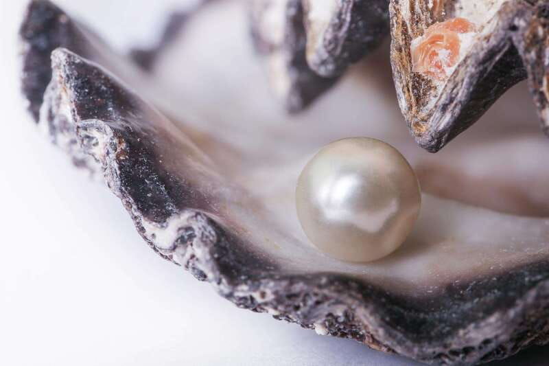 la-paz-pearl-farm-experience-and-shop