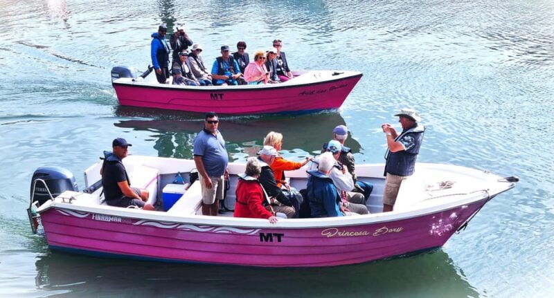 lagos-algarve-grotto-trip-boat-trip-late-afternoon