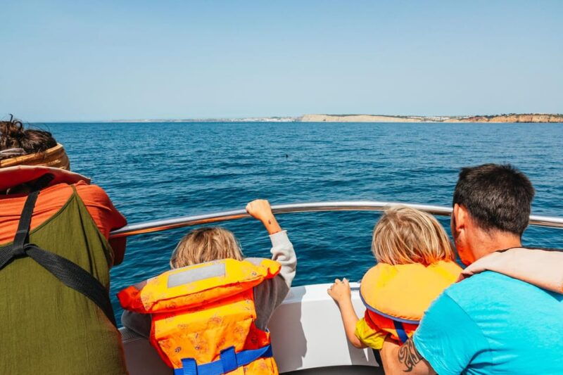 lagos-dolphin-watch-tour-with-professional-marine-biologist