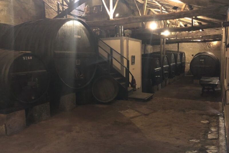 lamego-quinta-da-portela-de-baixo-winery-tour-and-tasting