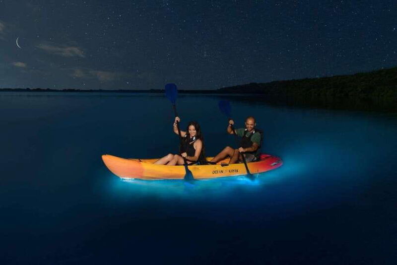 lan-ha-bay-night-kayaking-explore-bioluminescence-plankton
