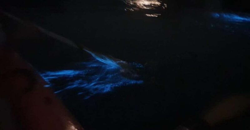lan-ha-bay-sunset-plankton-bioluminescent-night-kayaking