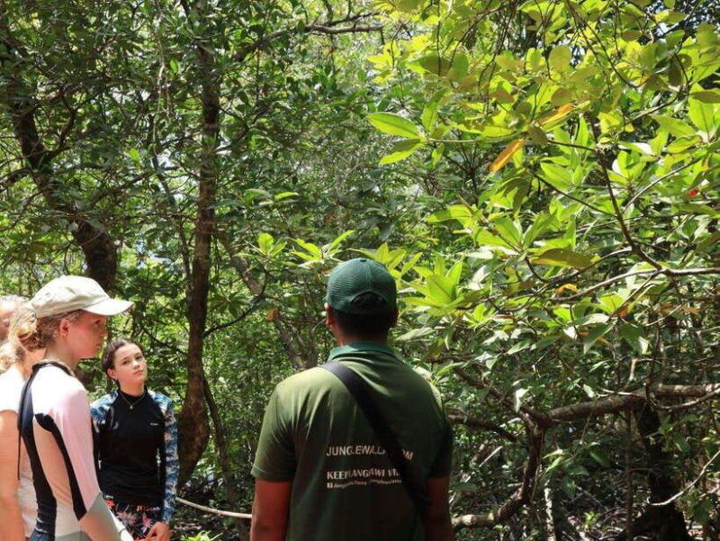 langkawi-kayaking-adventure-and-swimming