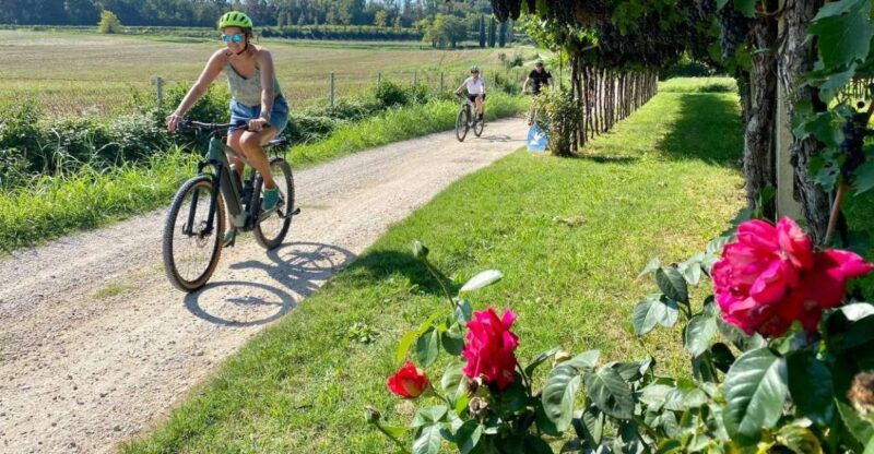 lazise-countryside-e-bike-tour-with-wine-tasting