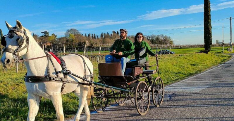lazise-horse-carriage-tour-with-tasting-of-local-products