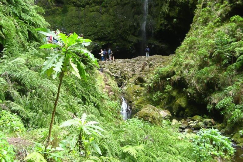 levada-walk-and-caldeirao-verde-waterfalls-madeira