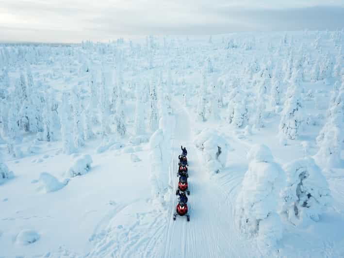 levi-forest-snowmobile-safari