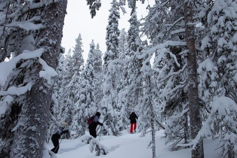 levi-lakeside-forest-snowshoeing