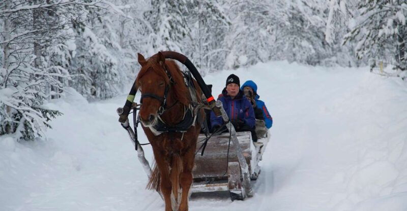 levi-polar-lights-tours-one-horse-open-sleigh-ride