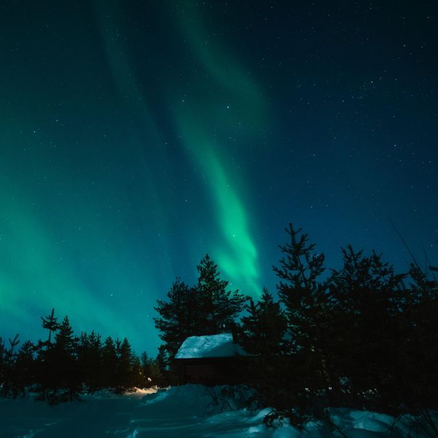 levi-search-for-northern-lights-in-snowmobile-sleigh