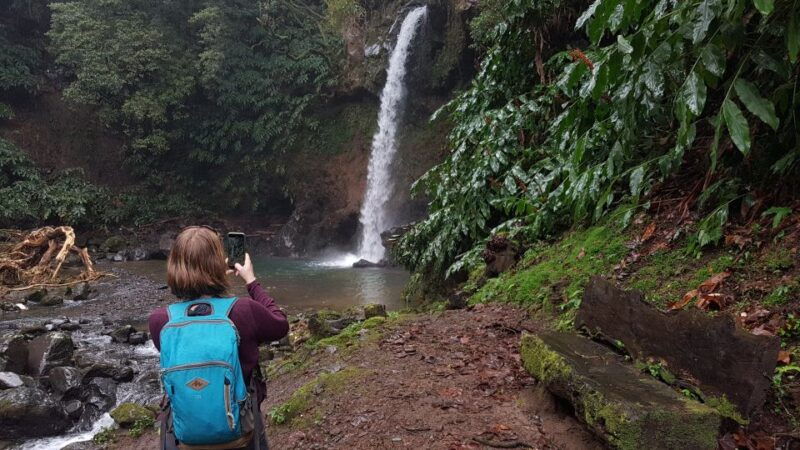 lomba-de-sao-pedro-waterfall-hiking-tour-with-tea-tasting
