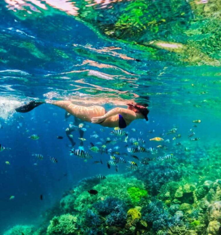 lombok-day-trip-gili-nanggu-snorkeling-trip