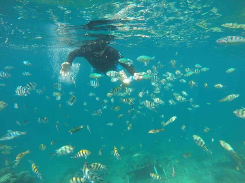 lombok-gili-nanggu-kedis-and-sudak-islands-boat-tour