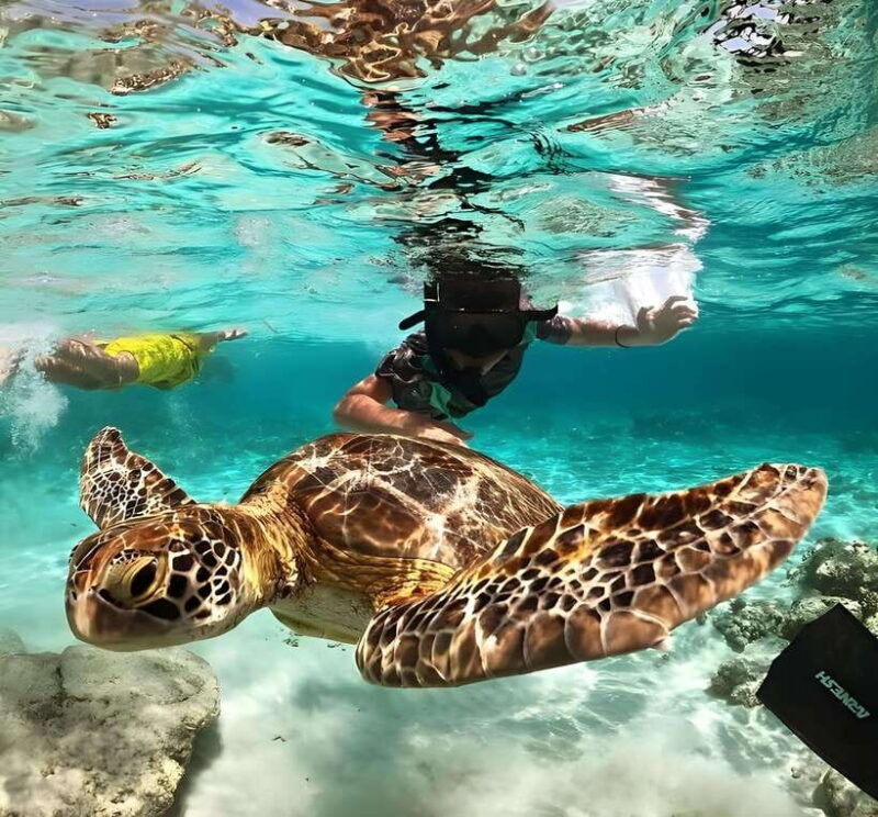 lombok-snorkeling-trip-gili-trawangan-meno-gili-air