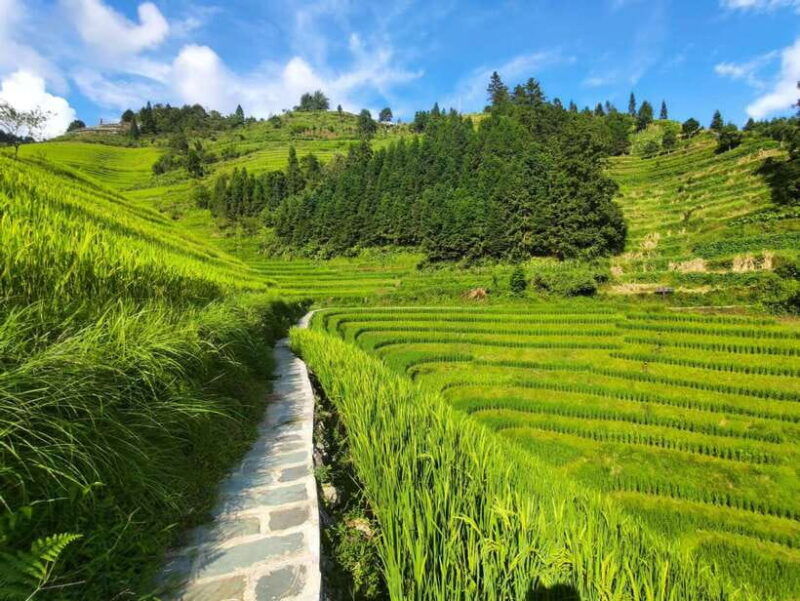 longji-rice-terraces-full-day-private-tour-from-guilin