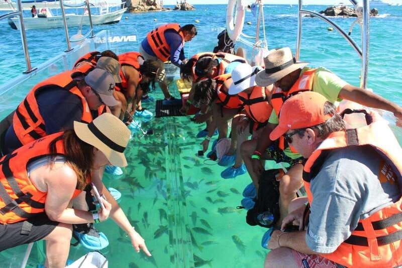 los-cabos-transparent-boat-tour-with-optional-city-tour