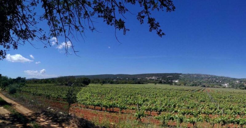 loule-quinta-da-tor-winery-guided-tour-and-wine-tasting