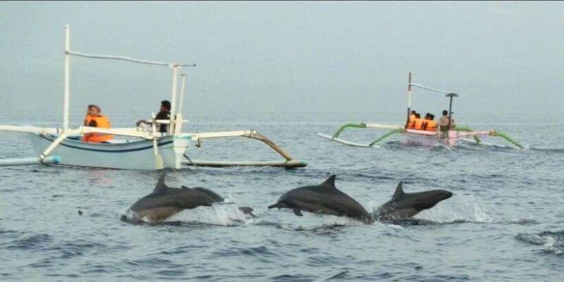 lovina-bali-dolphin-watching-waterfall-and-local-lunch