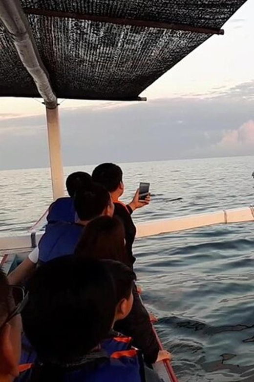 lovina-dolphin-watching-swimming-with-dolphin-private-tour