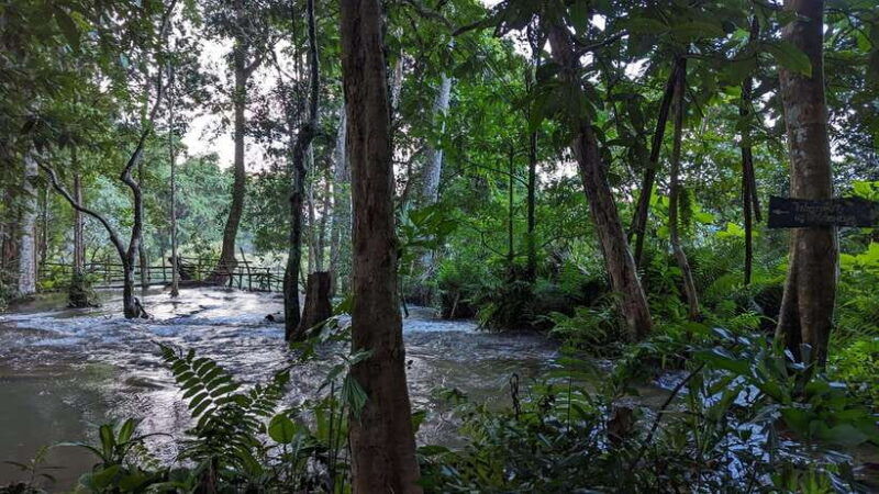 luang-prabang-full-day-trek-to-kuang-si-waterfall-village