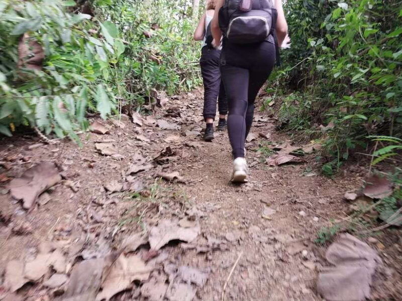 luang-prabang-hiking-off-the-beaten-track-with-picnic-lunch