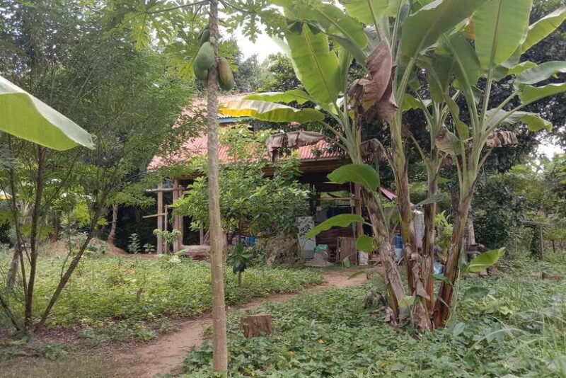 luang-prabang-organic-farm-experience-hike-to-kuang-si