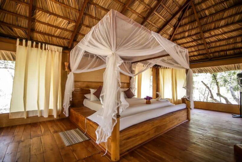 luxury-camping-and-safari-experience-in-yala-park