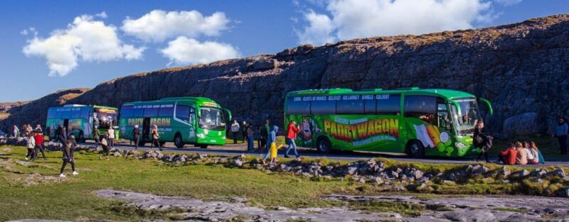 luxury-shore-excursion-from-waterford-dunmore-east